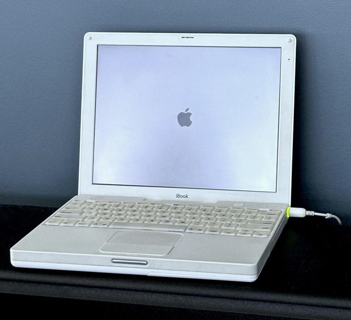 iBook G3 Snow