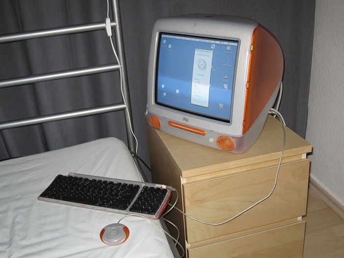 iMac DV